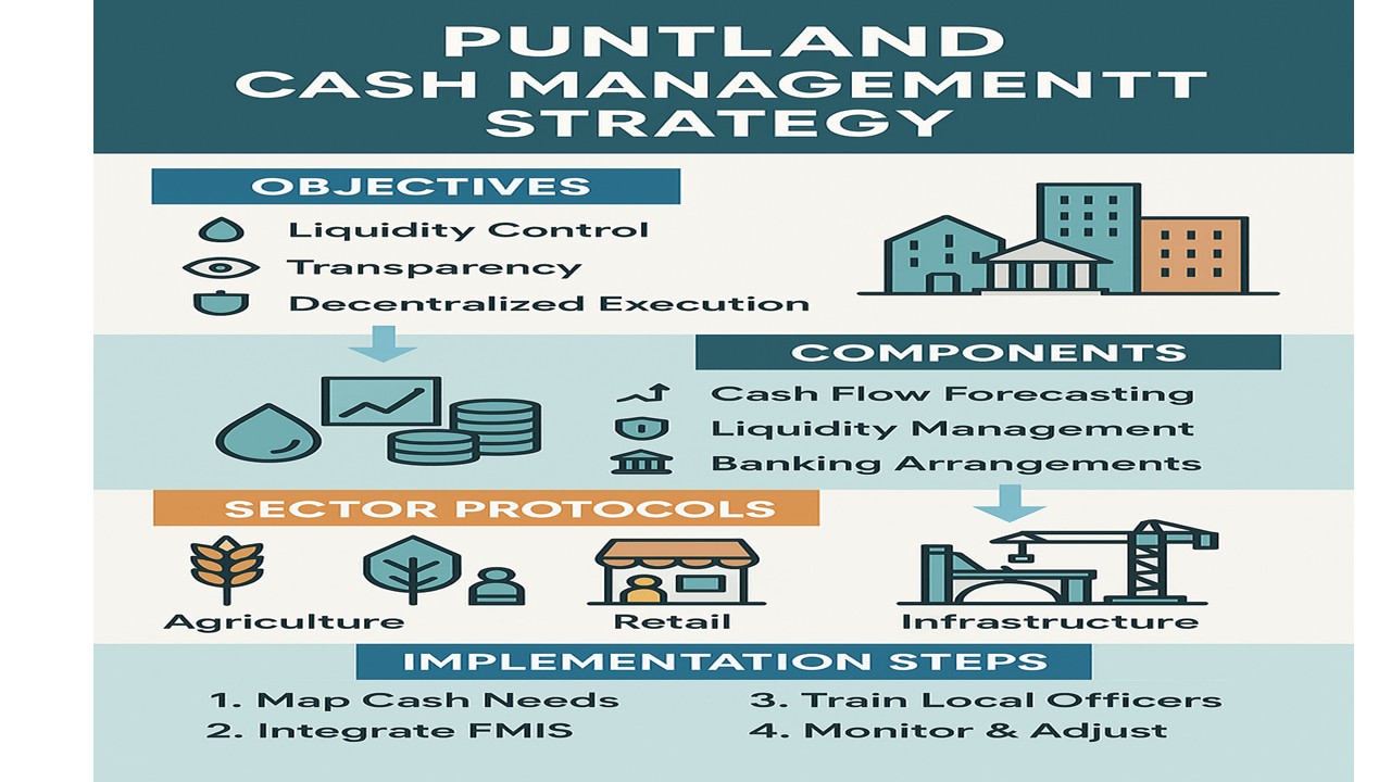 Developing Cash Management strategy for Puntland